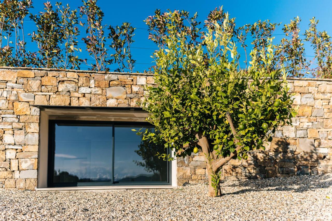 Villa Sabrina Riviera Dei Fiori A Picco Sul Mare Con Piscina Privata ,Wellness & Spa إمبيريا المظهر الخارجي الصورة